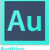 Audition